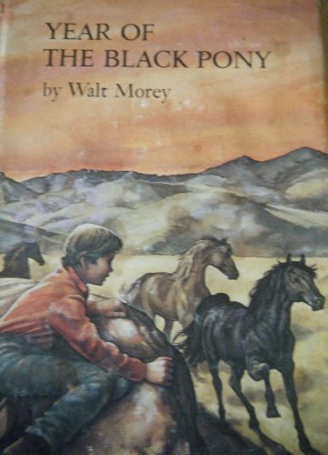 Stock image for Year of the Black Pony for sale by Reuseabook