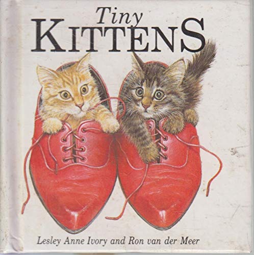 9780001913790: Tiny Kittens: Pop-up Book