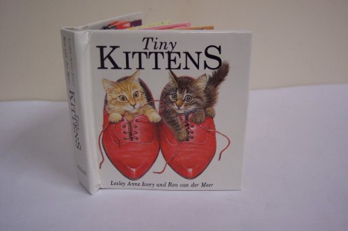 Stock image for Tiny Kittens: Pop-up Book for sale by Jay W. Nelson, Bookseller, IOBA
