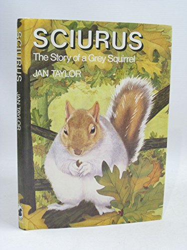 Stock image for Sciurus: Story of a Grey Squirrel for sale by WorldofBooks