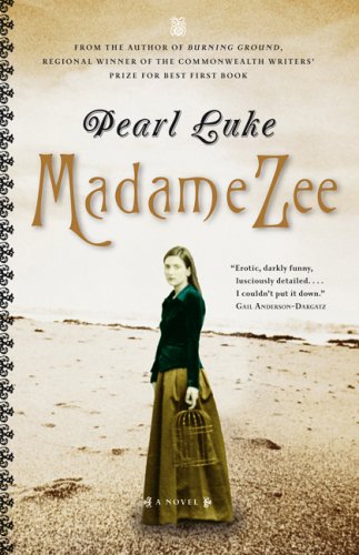 Stock image for Madame Zee: A Novel for sale by Hourglass Books