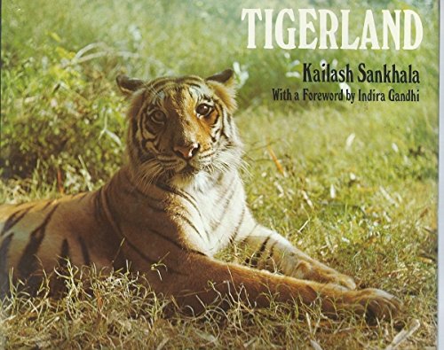 Stock image for Tigerland for sale by Schueling Buchkurier