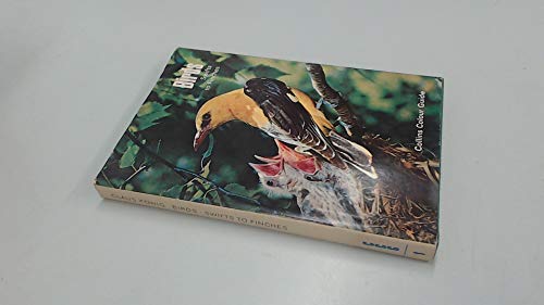 Stock image for Birds: Swifts to Finches v. 1 (Collins colour guides) for sale by Richard Sylvanus Williams (Est 1976)