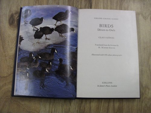 Imagen de archivo de Birds. Divers to Owls a la venta por PEND BOOKS