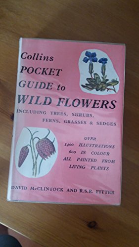 Stock image for Collins Pocket Guide to Wild Flowers - Including Trees Shrubs Ferns Grasses and Sedges for sale by Rhos Point Books