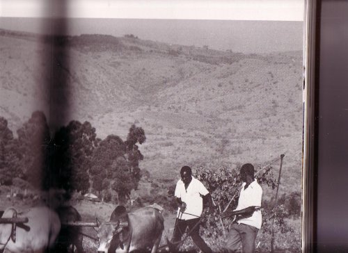 Imagen de archivo de The Book of Kenya a la venta por Better World Books
