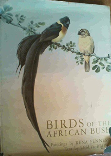 Stock image for BIRDS OF THE AFRICAN BUSH for sale by K Books Ltd ABA ILAB