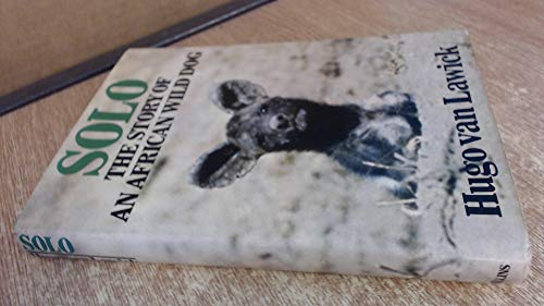 9780002167543: Solo: Story of an African Wild Dog
