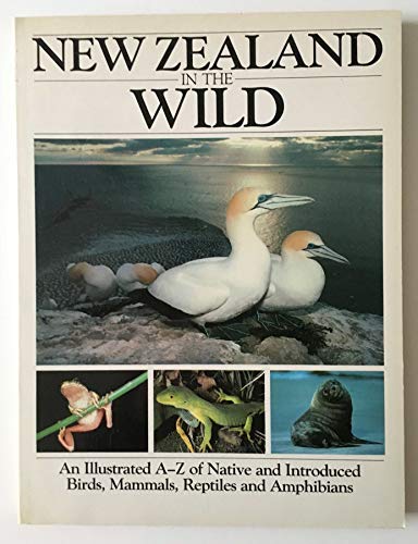 Stock image for New Zealand in the Wild: An Illustrated A-Z of Native and Introduced Birds, Mammals, Reptiles and Ampibians for sale by M & M Books