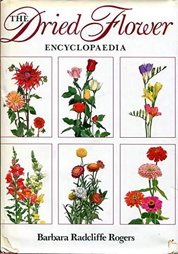 Stock image for The Dried Flower Encyclopaedia for sale by Booked Experiences Bookstore