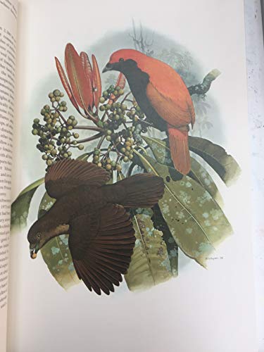 9780002190220: Birds of Paradise and Bower Birds