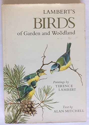 Stock image for Lamber's Birds of Garden and Woodland for sale by CHARLES BOSSOM