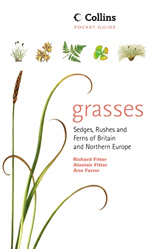 9780002191364: Grasses, Sedges, Rushes and Ferns of Britain and Northern Europe