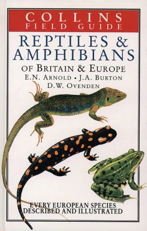 Stock image for Field Guide to the Reptiles and Amphibians of Britain and Europe (Collins Field Guide) for sale by Goldstone Books