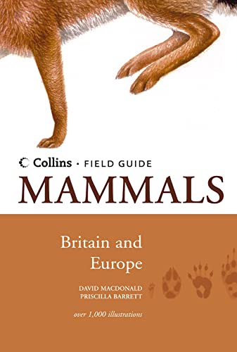 Beispielbild fr Mammals of Britain and Europe (Collins Field Guide) zum Verkauf von WorldofBooks