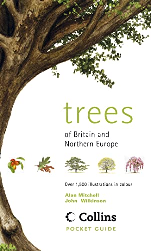 Stock image for Trees of Britain & Northern Europe: Over 1,500 Illustrations in Colour for sale by ThriftBooks-Atlanta