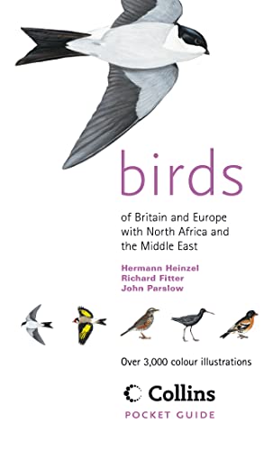 Imagen de archivo de Birds of Britain and Europe with North Africa and the Middle East: Over 3,000 Colour Illustrations (Collins Pocket Guide) a la venta por SecondSale