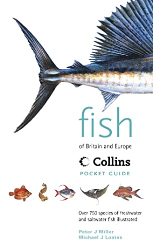 Stock image for Fish of Britain & Europe (Collins Pocket Guide) for sale by GF Books, Inc.