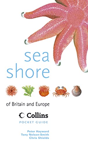 Beispielbild fr Sea Shore of Britain and Europe (Collins Pocket Guide) zum Verkauf von MusicMagpie