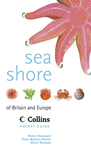 Stock image for Collins Pocket Guide    Sea Shore of Britain and Europe for sale by AwesomeBooks