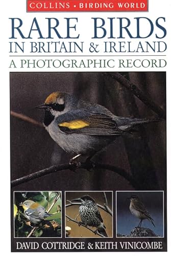 Stock image for Rare Birds of Britain and Ireland: A Photographic Record (Collins Birding World) for sale by AwesomeBooks