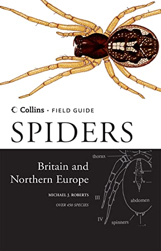 Field Guide Spiders Britian and Northern Europe over 450 Spp