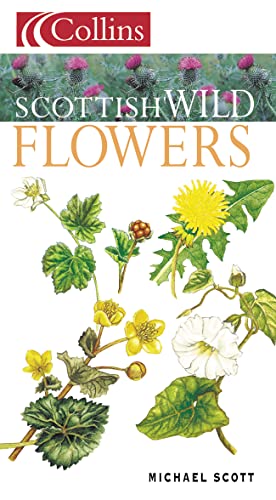 9780002199827: Scottish Wild Flowers (Collins Guides)