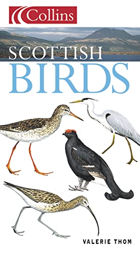 9780002199834: Scottish Birds