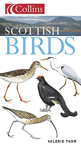 0002199831 Scottish Birds Di Valerie Thom Abebooks