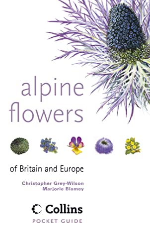 Stock image for Alpine Flowers: Of Britain and Europe (Collins Pocket Guide) for sale by Gulf Coast Books