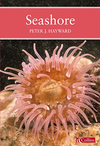 Stock image for A Natural History of the Seashore for sale by Daedalus Books