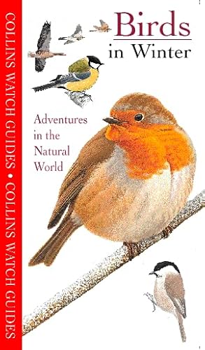 Beispielbild fr Watch Guide " Birds in Winter: 6 (Collins Watch Guides) zum Verkauf von WorldofBooks