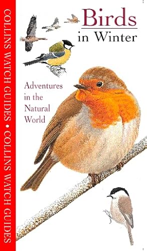 Stock image for Collins Watch Guide : Birds in Winter for sale by Better World Books