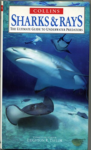 Beispielbild fr Ultimate Guides  " Sharks and Rays: The Ultimate Guide to Underwater Predators (Nature Company Guides) zum Verkauf von WorldofBooks