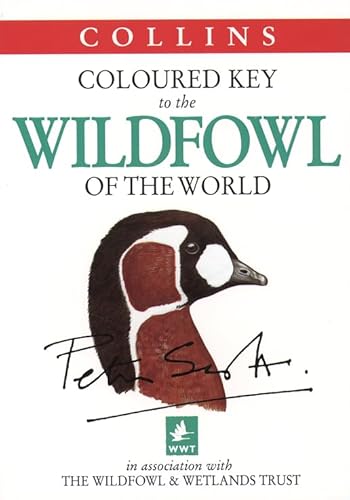 Stock image for Coloured Key to the Wildfowl of the World (Collins Illustrated Checklist S.) for sale by WorldofBooks