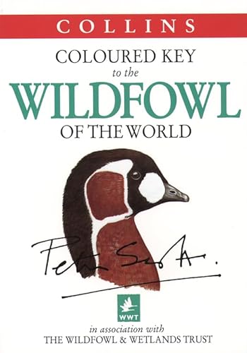 Stock image for Coloured Key to the Wildfowl of the World (Collins Illustrated Checklist S.) for sale by WorldofBooks