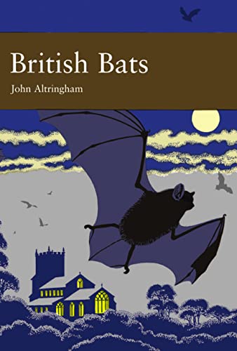 Stock image for BRITISH BATS for sale by Hawkridge Books