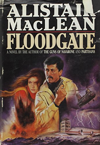 Imagen de archivo de Floodgate a la venta por ThriftBooks-Dallas