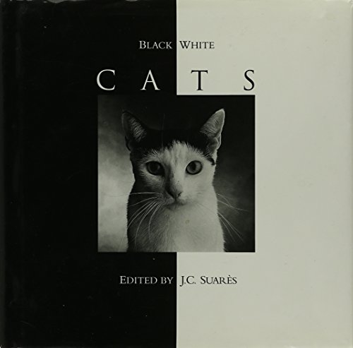 Imagen de archivo de Black & White Cats a la venta por SecondSale