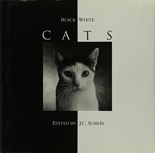 9780002550567: Black & White Cats
