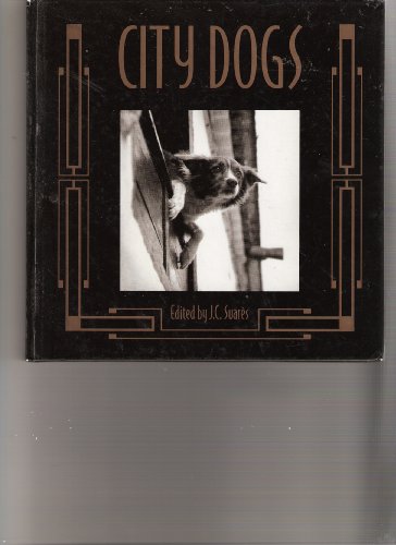 Imagen de archivo de City Dogs a la venta por Better World Books