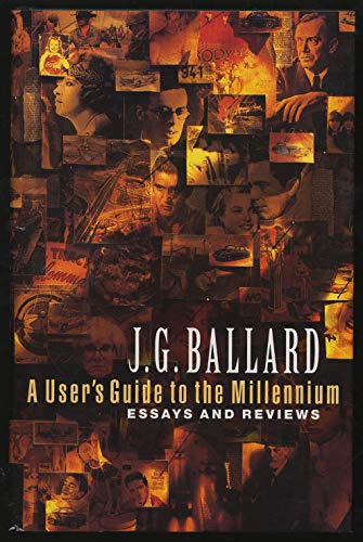 Stock image for A User's Guide to the Millennium : Essays and Reviews for sale by MusicMagpie