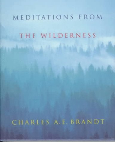 Imagen de archivo de Meditations from the Wilderness: A Collection of Profound Writing on Nature as the Source of Inspiration a la venta por ThriftBooks-Phoenix