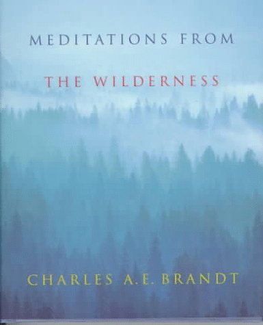 Stock image for Meditations from the Wilderness: A Collection of Profound Writing on Nature as the Source of Inspiration for sale by ThriftBooks-Atlanta