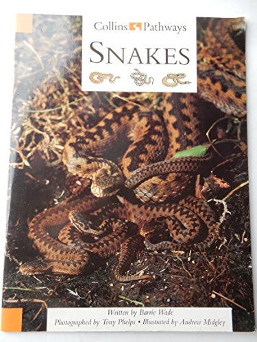 Stock image for Snakes for sale by Ryde Bookshop Ltd