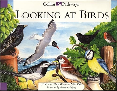 Collins Pathways Big Book: Looking at Birds (9780003014532) by Minns, Hilary; Lutrario, Chris; Wade, Barrie; Torbe, Mike