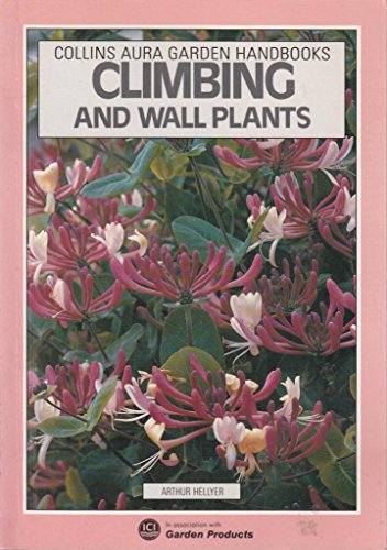 Stock image for Climbing and Wall Plants (Aura Garden Handbooks) for sale by WorldofBooks