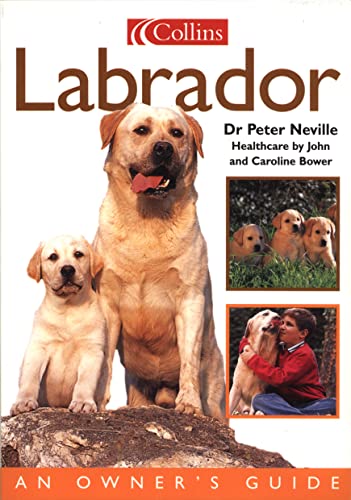 Beispielbild fr Collins Dog Owner  s Guide  " Labrador (Collins Dog Owner's Guides) zum Verkauf von WorldofBooks