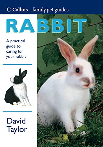 Stock image for Collins Care for Your Rabbit for sale by Better World Books Ltd