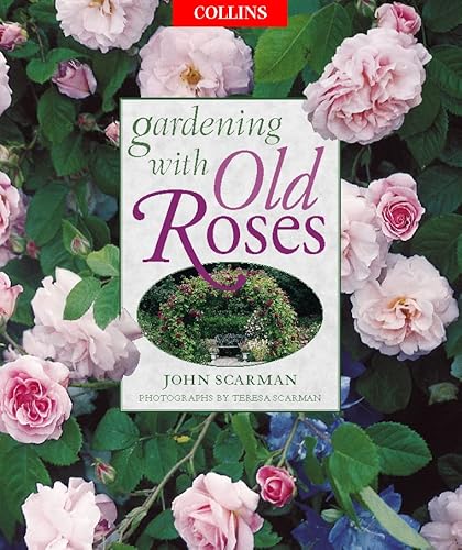 Imagen de archivo de Gardening With Old Roses a la venta por 2nd Act Books